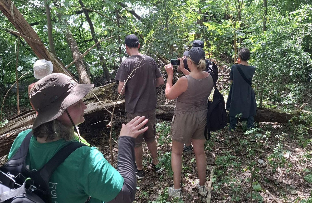 Biberspurensuche am Eichbaumsee
